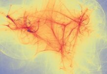 Ridesharing Services