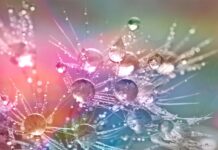 Physical Therapy Clinics