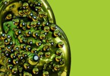 10 Game-Changing Facts You Must Know About AI in Automated Patient Registration Automated Patient Registration