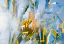 Digital Twins for Patient Care