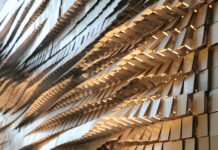 10 Game-Changing Facts You Must Know About AI in Biotechnology 10 Game-Changing Facts You Must Know About AI in Biotechnology