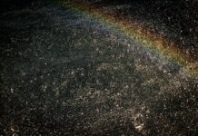 AI in Geriatric Care