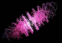 Medical Coding Services