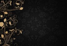 Digital Art Creation Tools