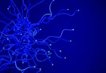 10 Game-Changing Facts You Must Know About AI in the Ergonomics Industry Ergonomics Industry