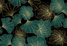 Retro Gaming Consoles