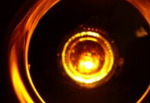 10 Game-Changing Facts You Must Know About AI in Organic Farming Organic Farming