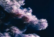 The Top 10 Facts You Must Understand About AI in Hair Salons Hair Salons