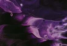 Occupational Therapy