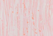 The Top Ten Things to Understand About How AI Will Change the Hearing Aid Industry Hearing Aid Industry