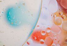 Frozen Foods Industry