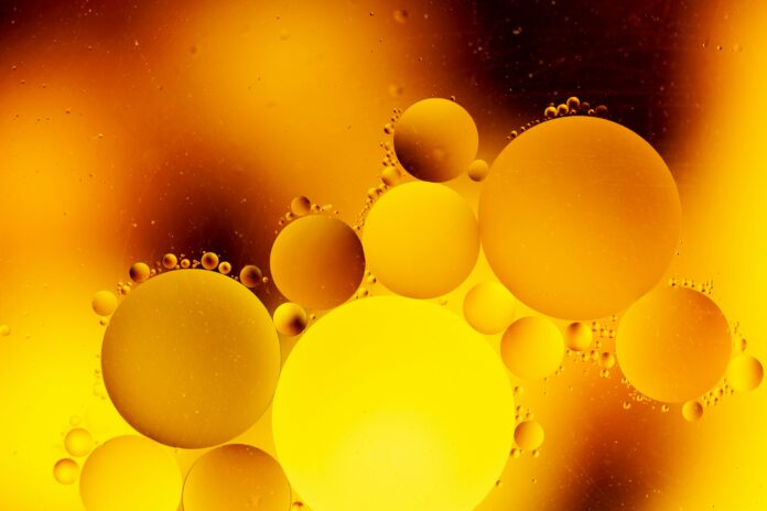Waste-to-Energy Industry