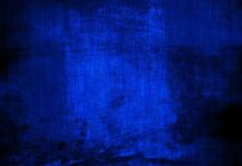 The Top Ten Things You Should Focus On About AI in the Voice Recognition for Learning Voice Recognition for Learning