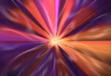 HR management tools
