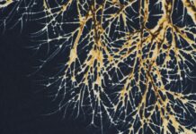 Behavioral Targeting in Ads