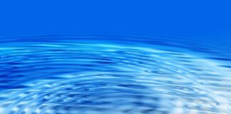 B2B Lead Generation