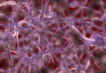 The Top Ten Points You Need to Remember About AI in the Personalized health checkups Personalized health checkups