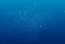 Interactive digital tutorials