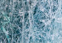 Dynamic website personalization engines