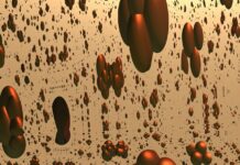 The Top Ten Things You Should Focus On About AI in the Personalized user interface designs Personalized user interface designs