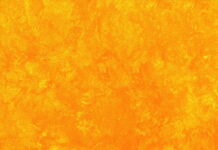 10 Key Insights You Should Know About how AI will change the Predictive demand management Predictive demand management