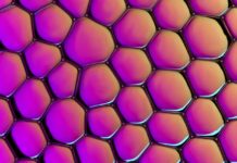 10 Key Insights You Should Know About how AI will change the Adaptive customer support systems Adaptive customer support systems