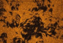 10 Key Things That Will Shape Your Understanding of how AI will change the Personalized customer journey tools Personalized customer journey tools