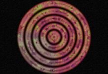 The Top Ten Things to Keep in Mind About AI in the Adaptive retail strategies Adaptive retail strategies