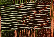 Intelligent retail management systems