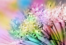 Ten Essential Details You Should Be Aware of About AI in the Dynamic customer interaction platforms Dynamic customer interaction platforms