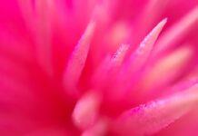 Smart video creation platforms