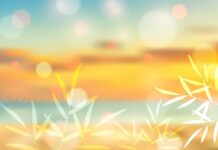 Advanced image editing