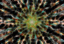 The Ten Most Important Insights You Need About AI in the Video analytics for sports Video analytics for sports