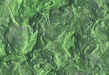 Personalized shopping experiences platforms