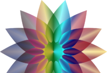 Workflow improvement systems