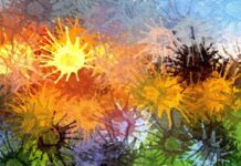 10 Vital Things You Should Know About how AI will change the Predictive design tools Predictive design tools