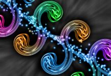 Customer loyalty optimization