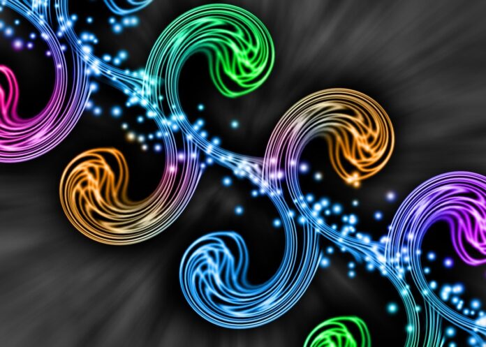 Customer loyalty optimization