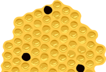 10 Things You’ll Wish You Knew About AI in the Intelligent customer acquisition systems Intelligent customer acquisition systems