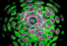 Ten Key Facts You Can’t Overlook About AI in the Smart city infrastructure solutions Smart city infrastructure solutions