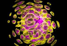 The Top Ten Game-Changers You Need to Know About how AI will change the Predictive digital ad management Predictive digital ad management