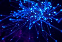 Angel investor networks