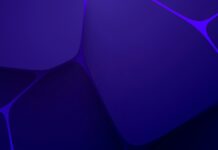 Financial management services