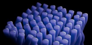 Artificial neural networks
