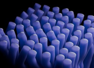 Artificial neural networks