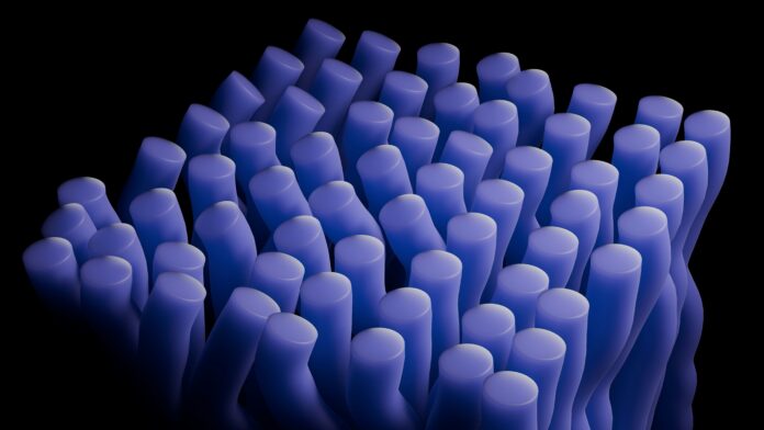 Artificial neural networks