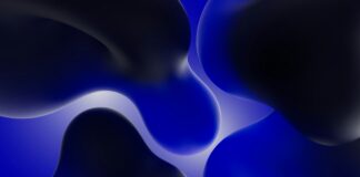 SaaS (Software as a Service)