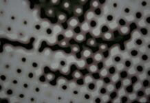 Software testing tools