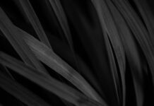 App performance monitoring