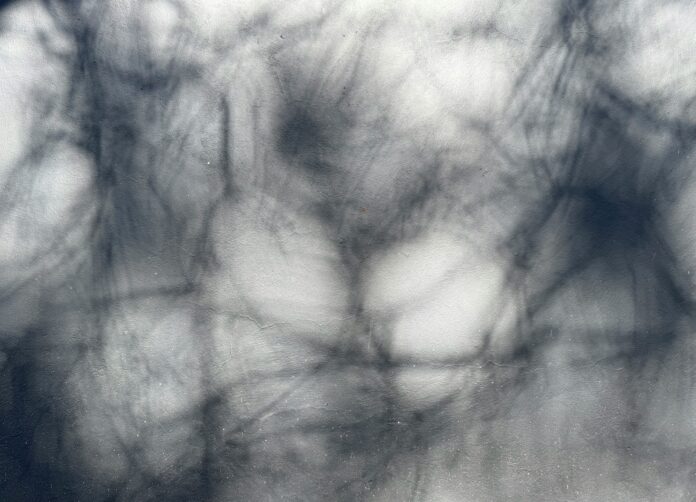 Financial management tools Financial management tools